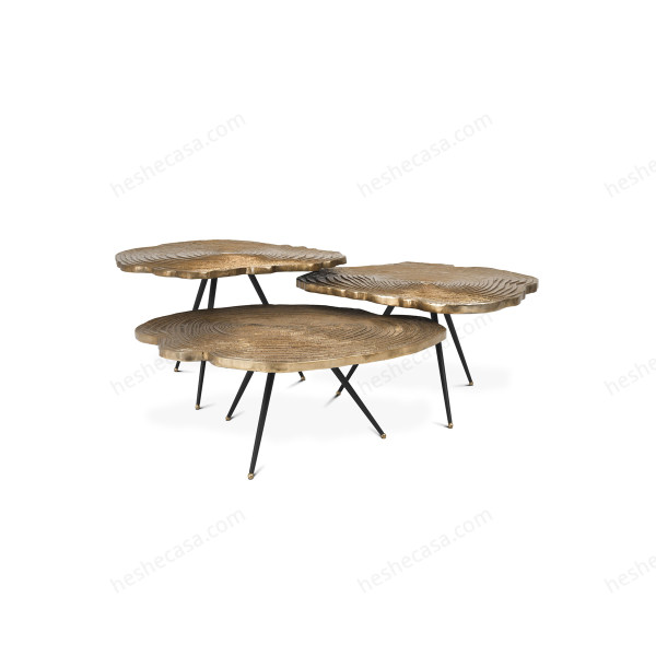 Coffee Table Quercus Set Of 3茶几/边几
