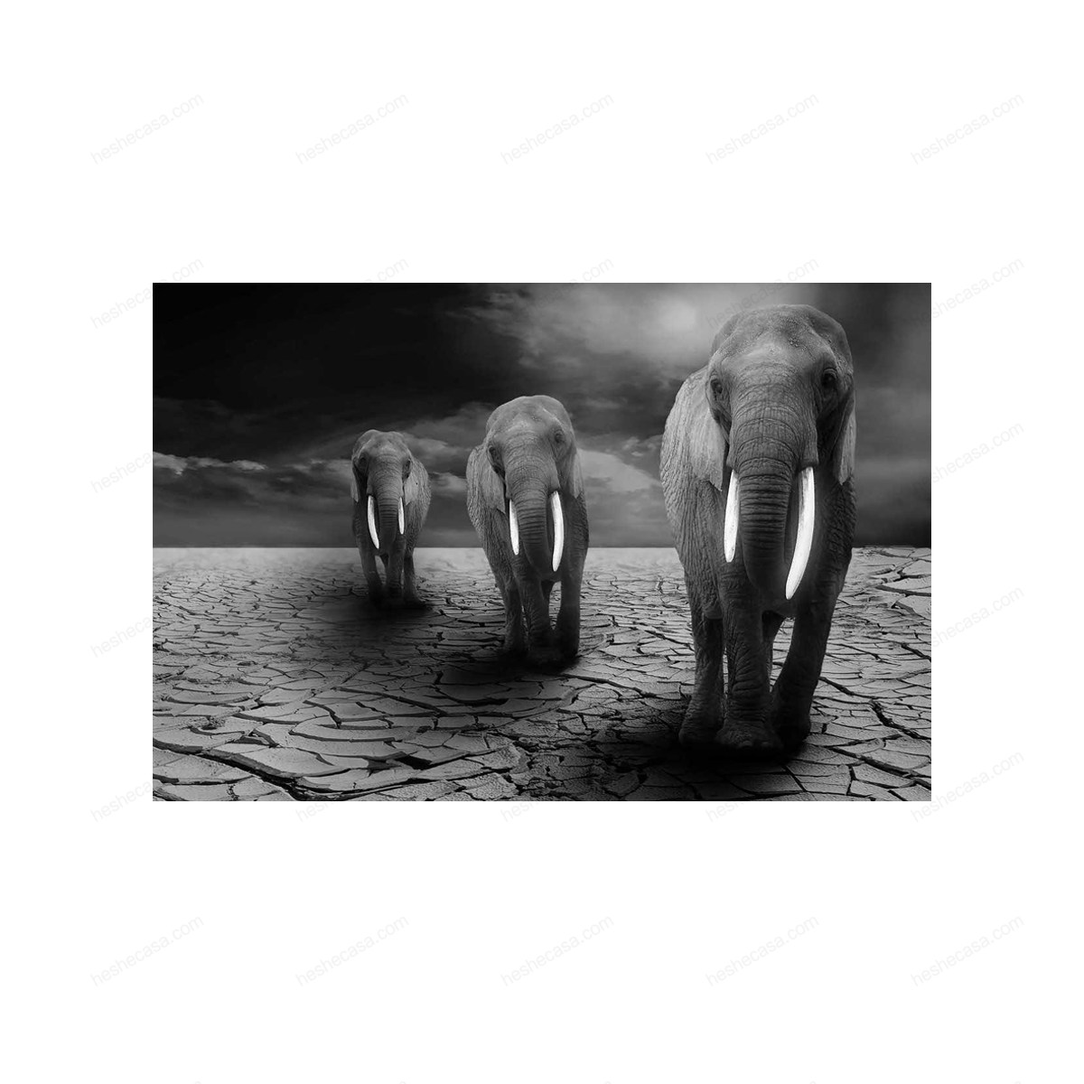 Ethnic Elephants Lunaire装饰画