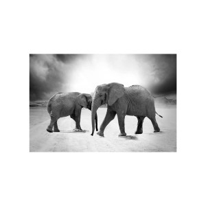 Ethnic Elephants Duo装饰画