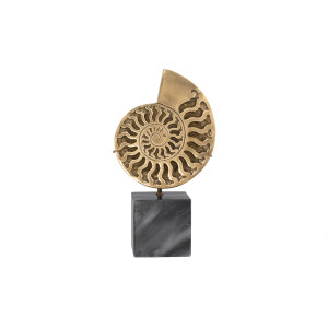 Object Ammonite Set Of 2摆件