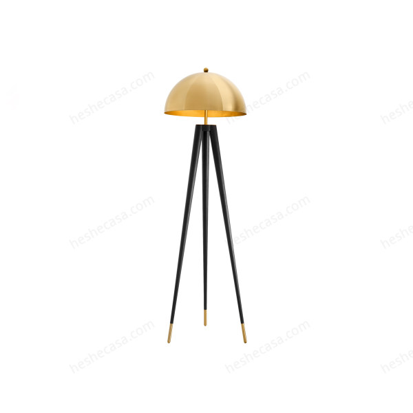 Floor Lamp Coyote落地灯