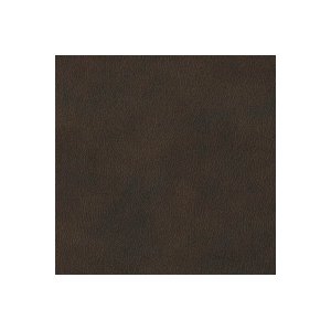 Brown Leather壁纸