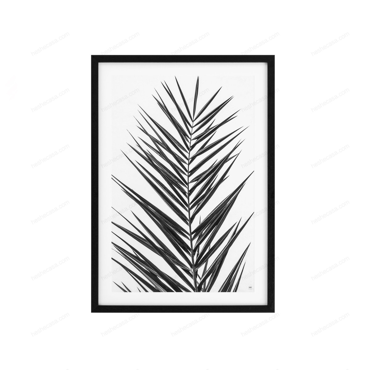 Prints Palm Leaves Set Of 2装饰画
