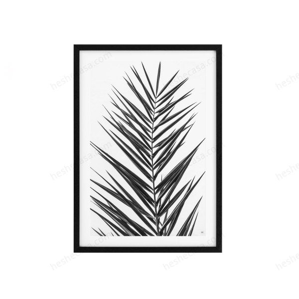 Prints Palm Leaves Set Of 2装饰画
