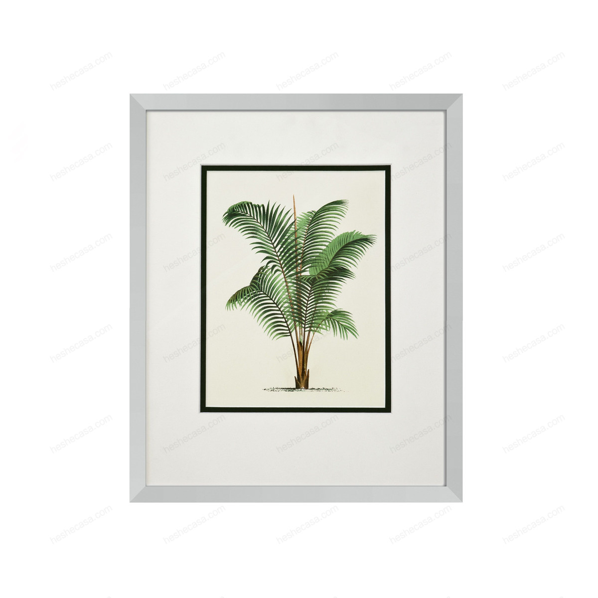 Prints Palms Set Of 4装饰画