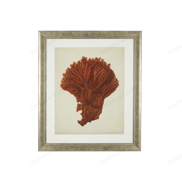 Prints Antique Red Corals Set Of 6装饰画