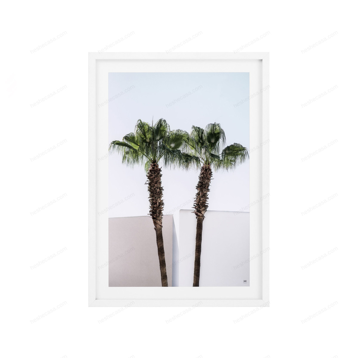 Prints Palm Trees Set Of 2装饰画