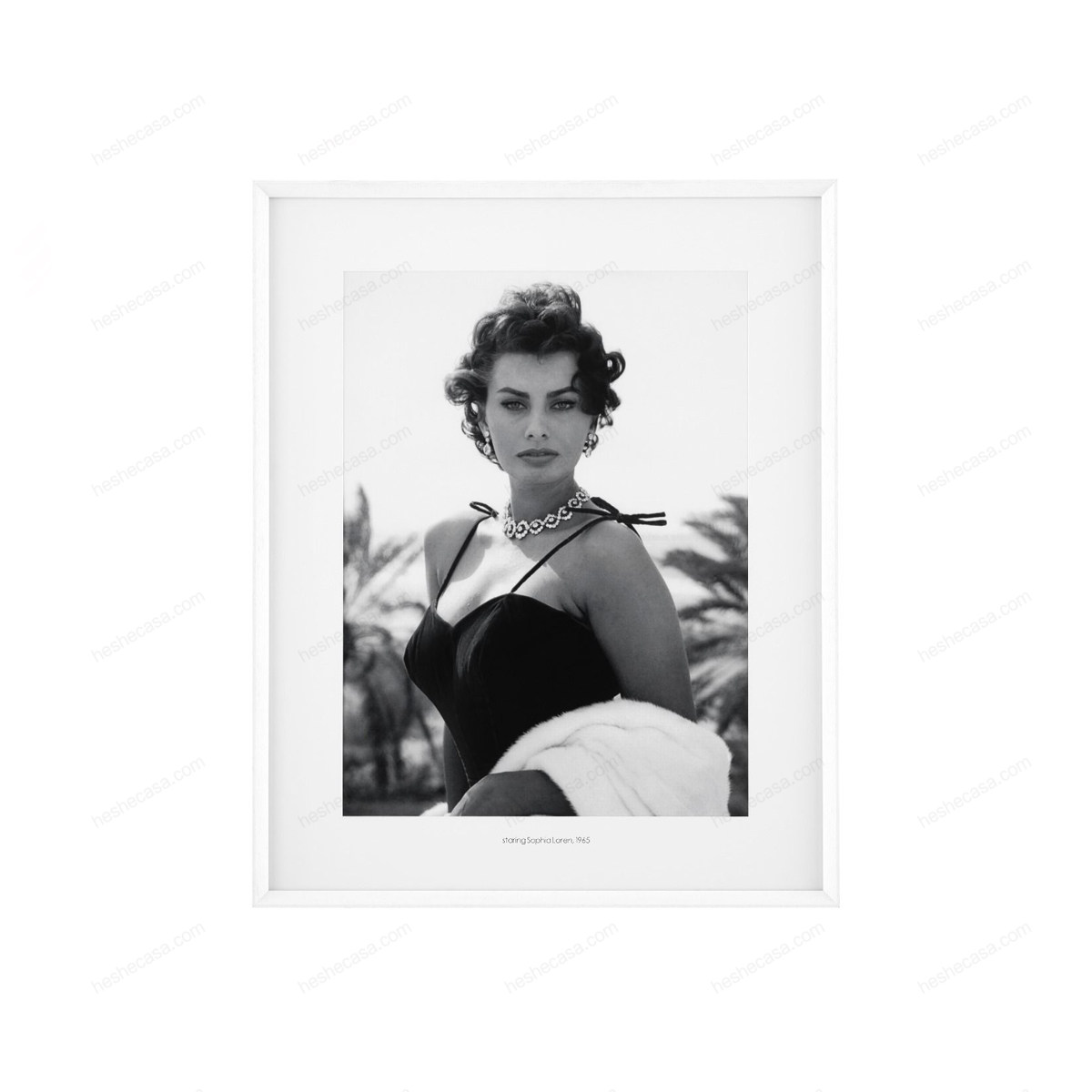 Print Staring Sophia Loren装饰画