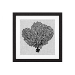 Prints Shadow Sea Fans Set Of 4装饰画