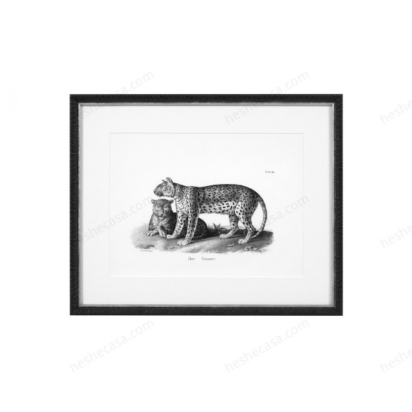 Prints Historical Animals Set Of 6装饰画