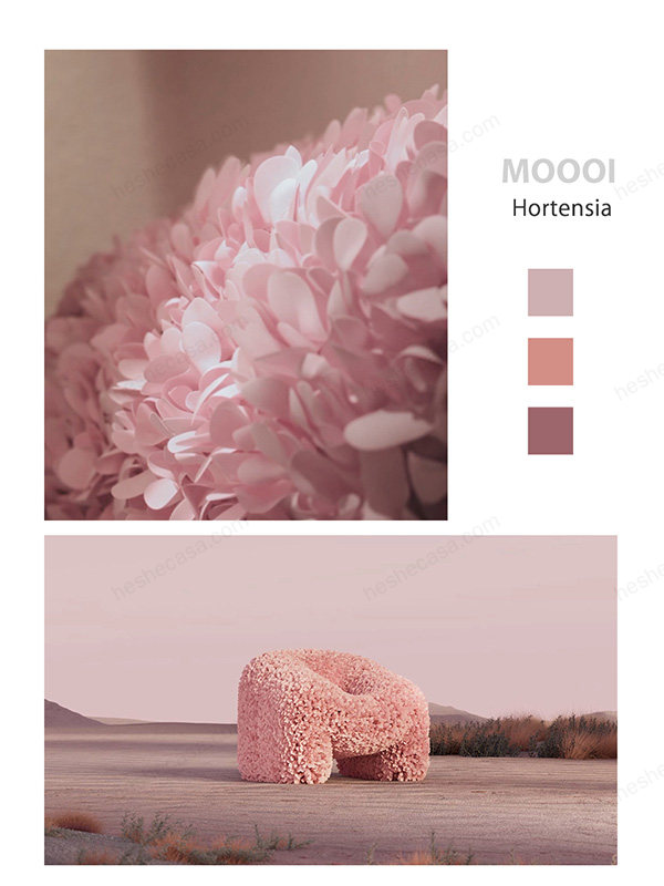 从设计灵感、颜色、图片揭秘moooi花瓣椅 第2张
