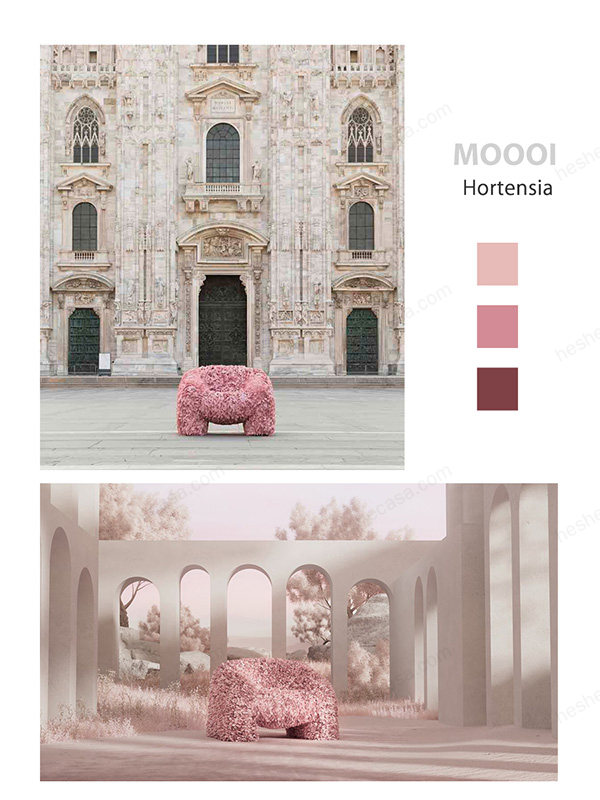 从设计灵感、颜色、图片揭秘moooi花瓣椅 第3张