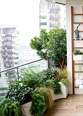 最简单的阳台设计 新手也能打造出绿意宜居阳台