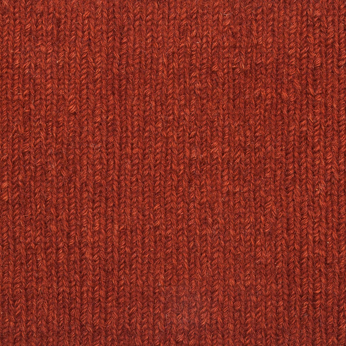 Land地毯