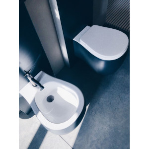 Pear Bidet Wall Mounted马桶