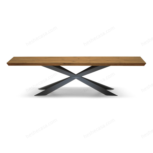Spyder Wood餐桌
