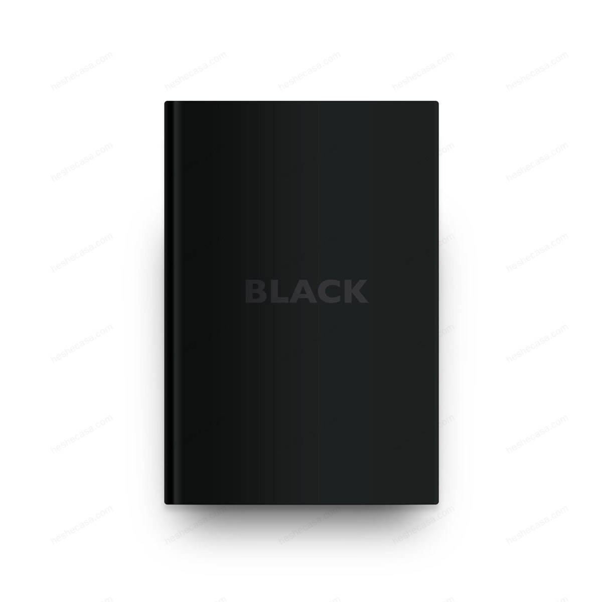 Black Book 黑皮书