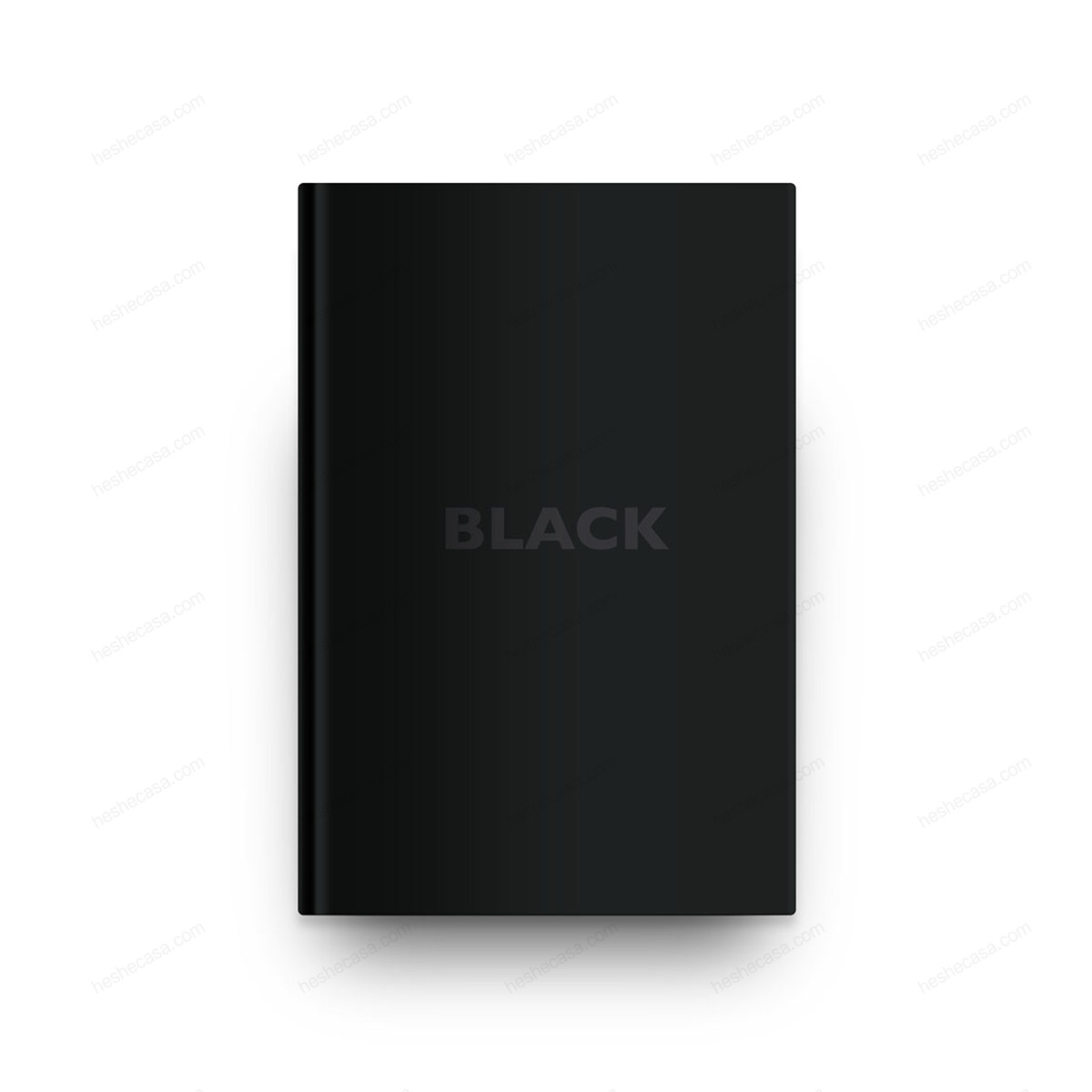 Black Book 黑皮书