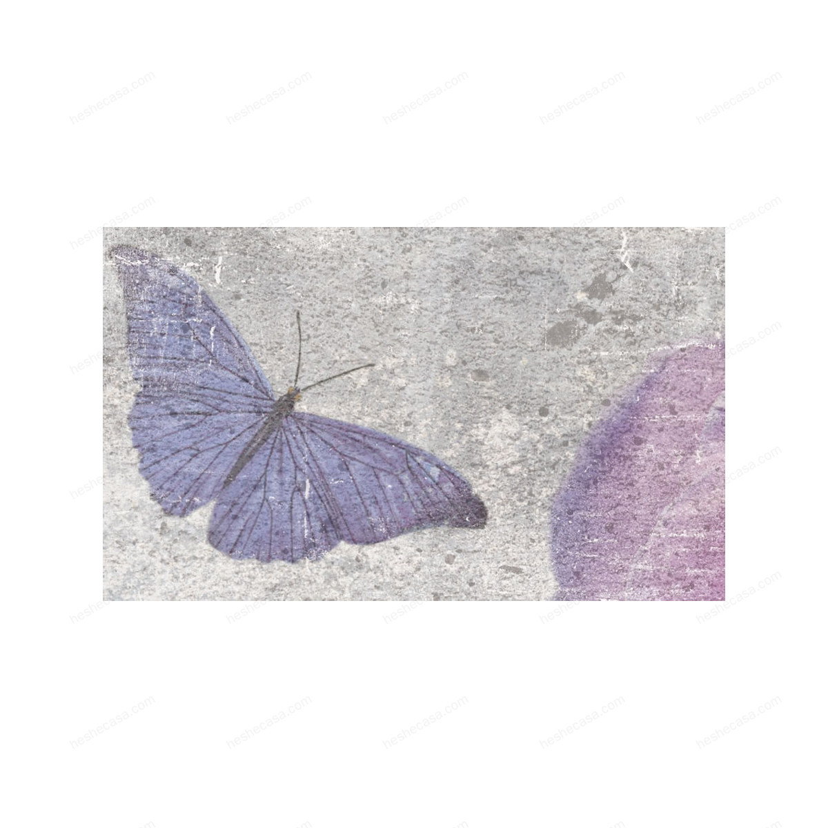 Farfalle壁纸