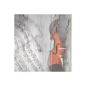 Violino壁纸