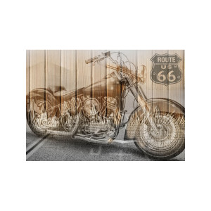 Moto 66壁纸