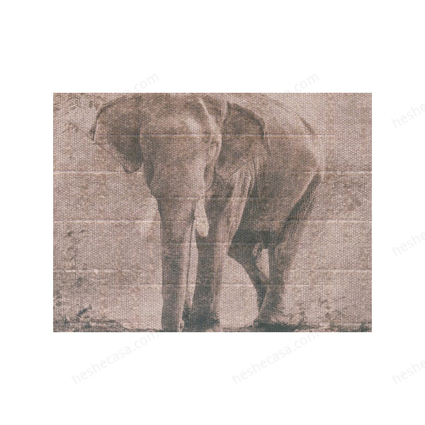 Elefante壁纸