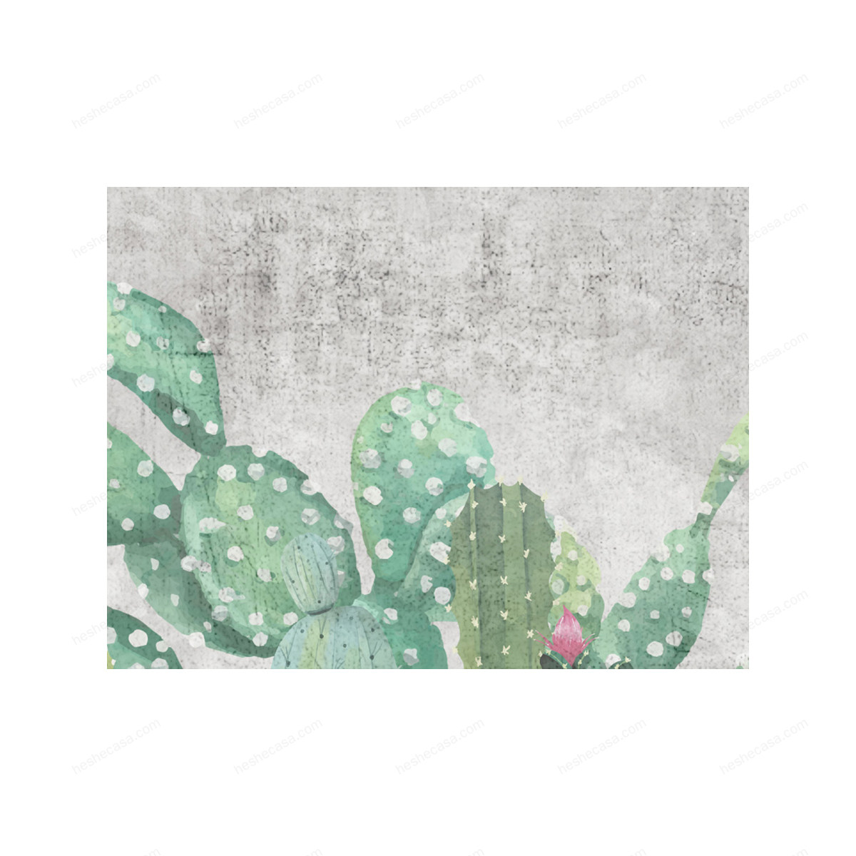 Cactus壁纸