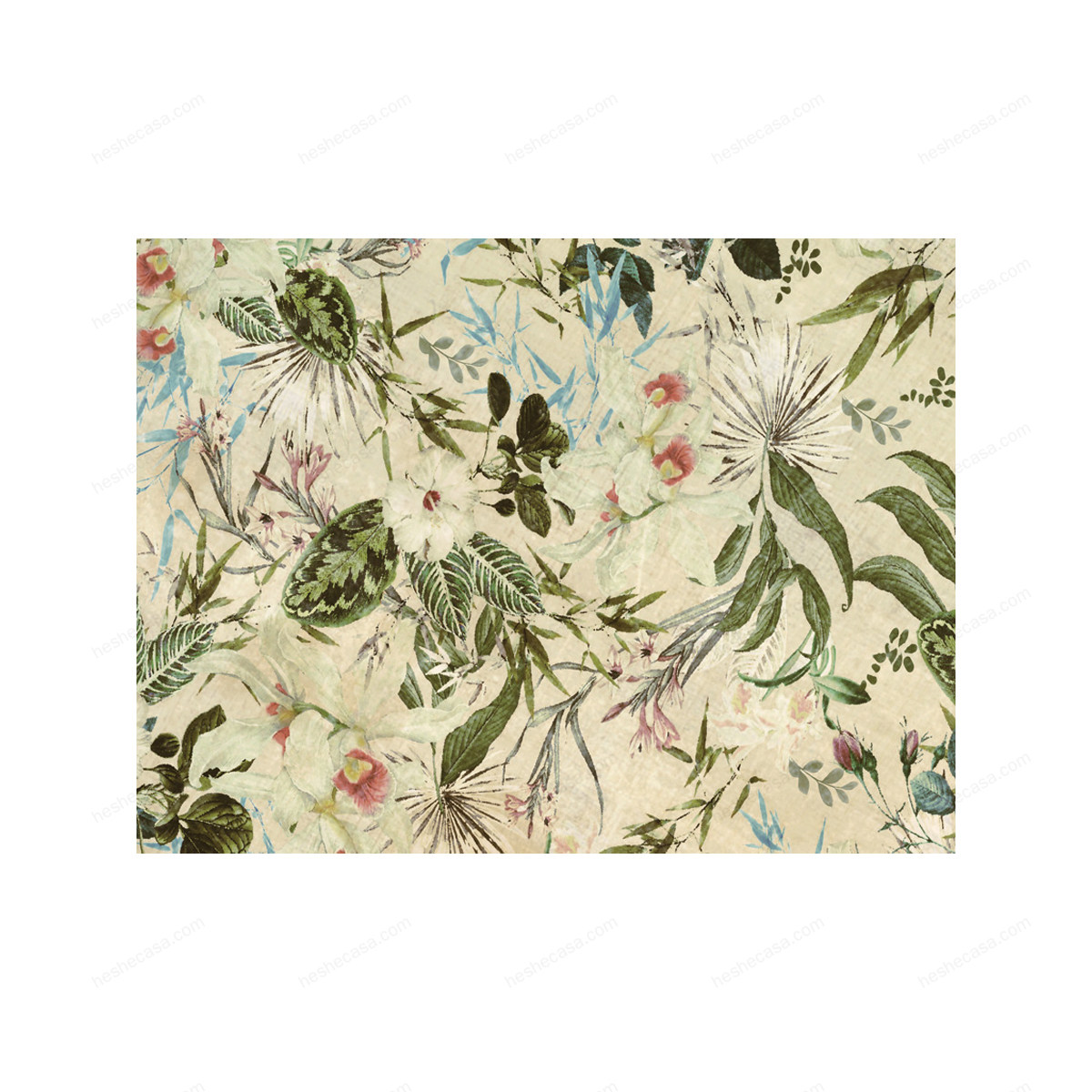 Fiori Tropicali壁纸
