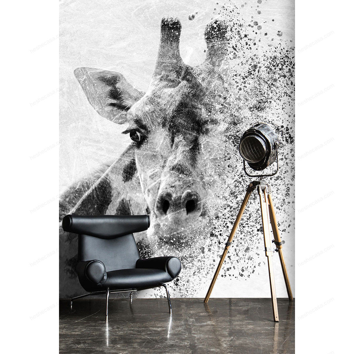 Giraffa壁纸
