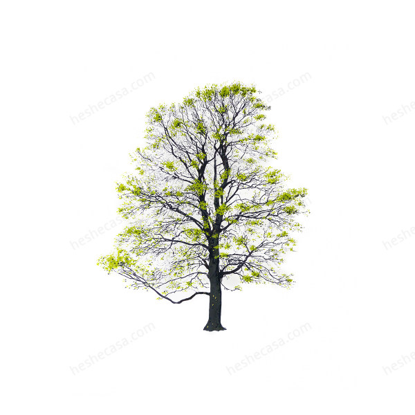 Tree装饰画