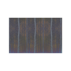Forest壁纸