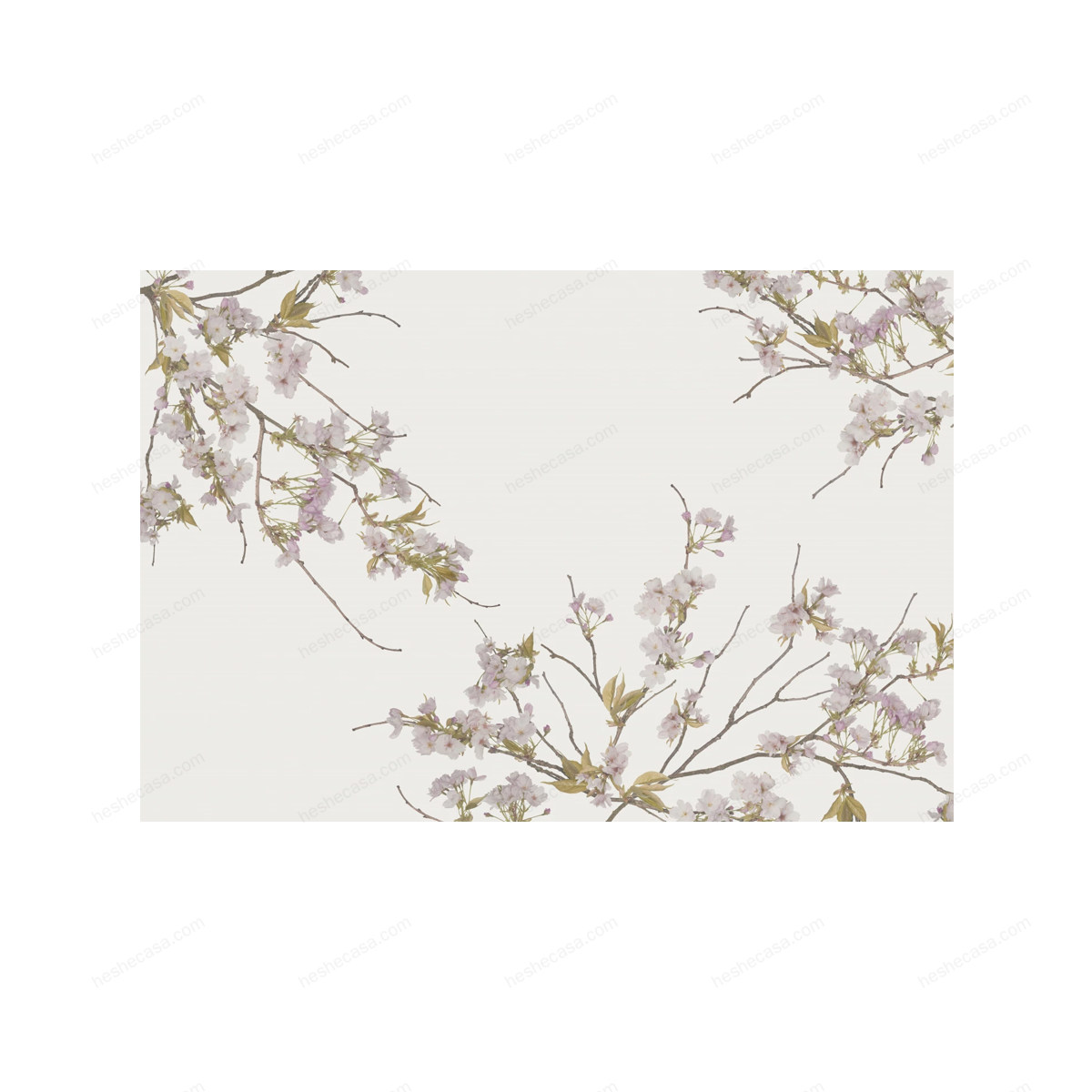 Korean Blossom壁纸