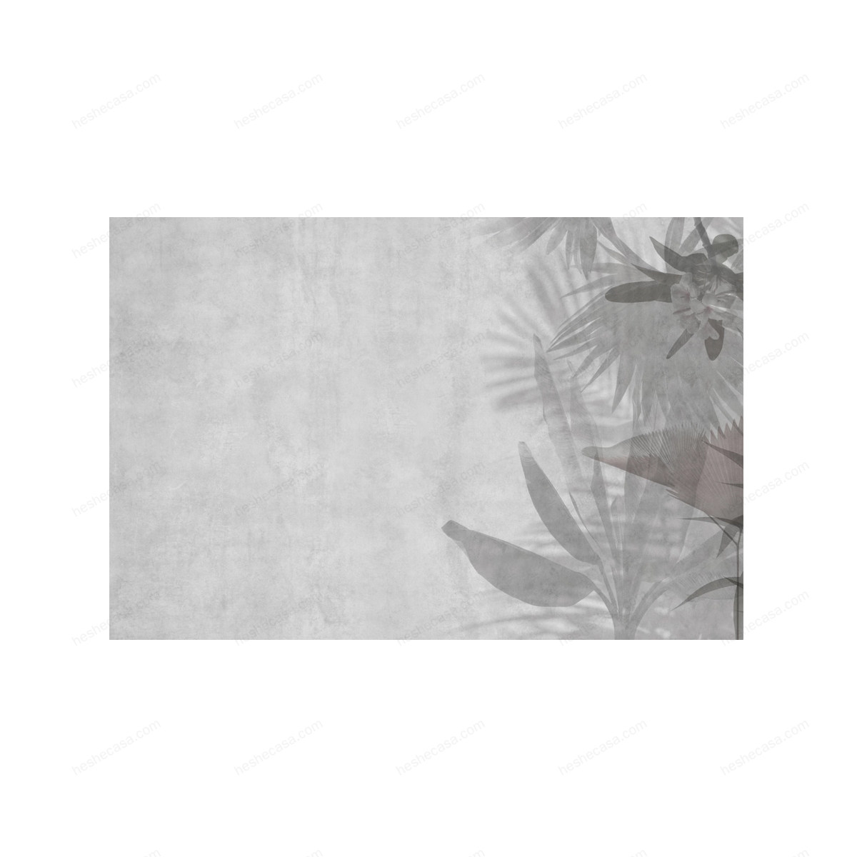 Exotic壁纸