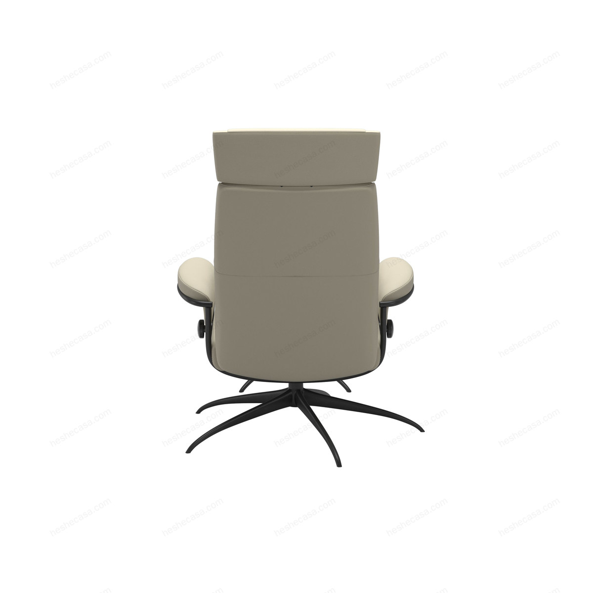 Paris Chair Adjustable Headrest扶手椅