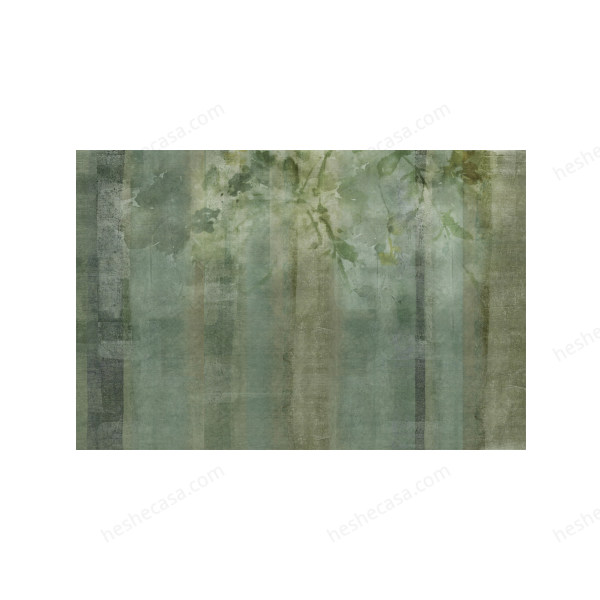 Sempervirens壁纸