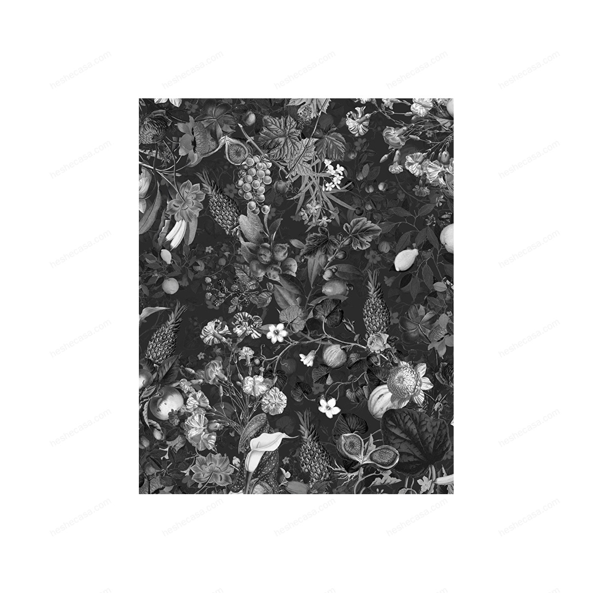 Botanica Black&White Wallpaper壁纸