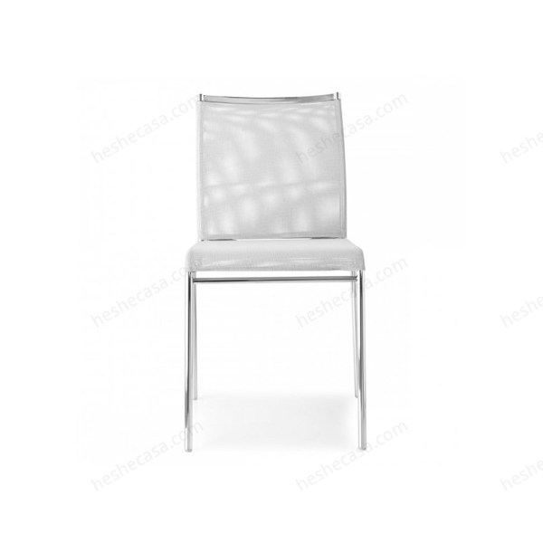 Web单椅