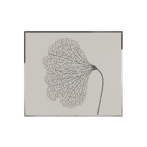 Dry Leaf装饰画