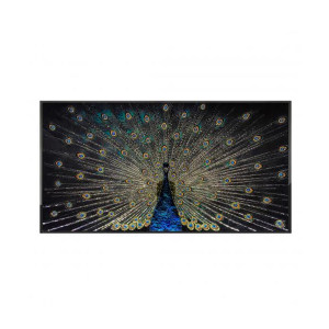 Peacock装饰画
