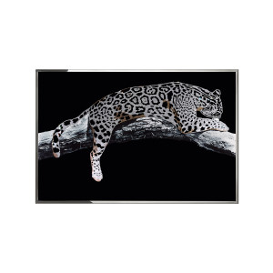 Leopardo装饰画
