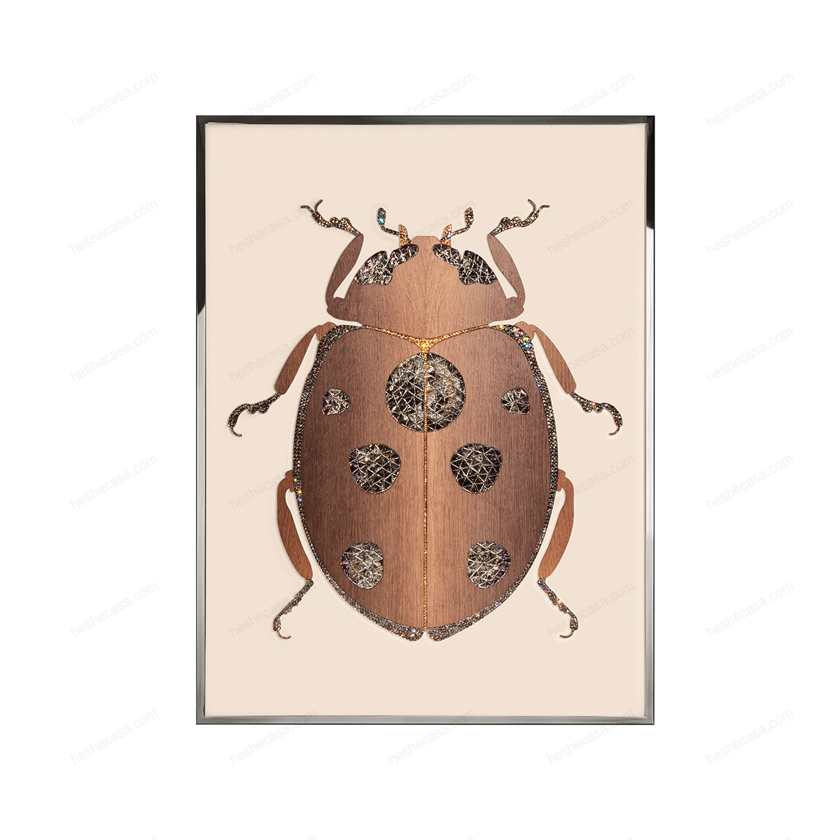 Beetle F装饰画
