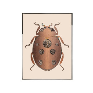 Beetle F装饰画