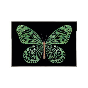 Green Butterfly装饰画