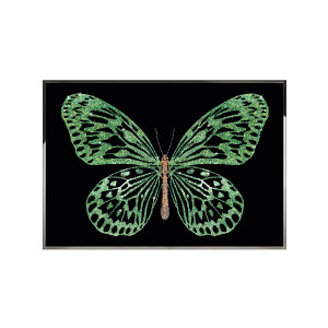Green Butterfly装饰画