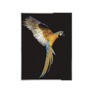 Parrot Ara装饰画