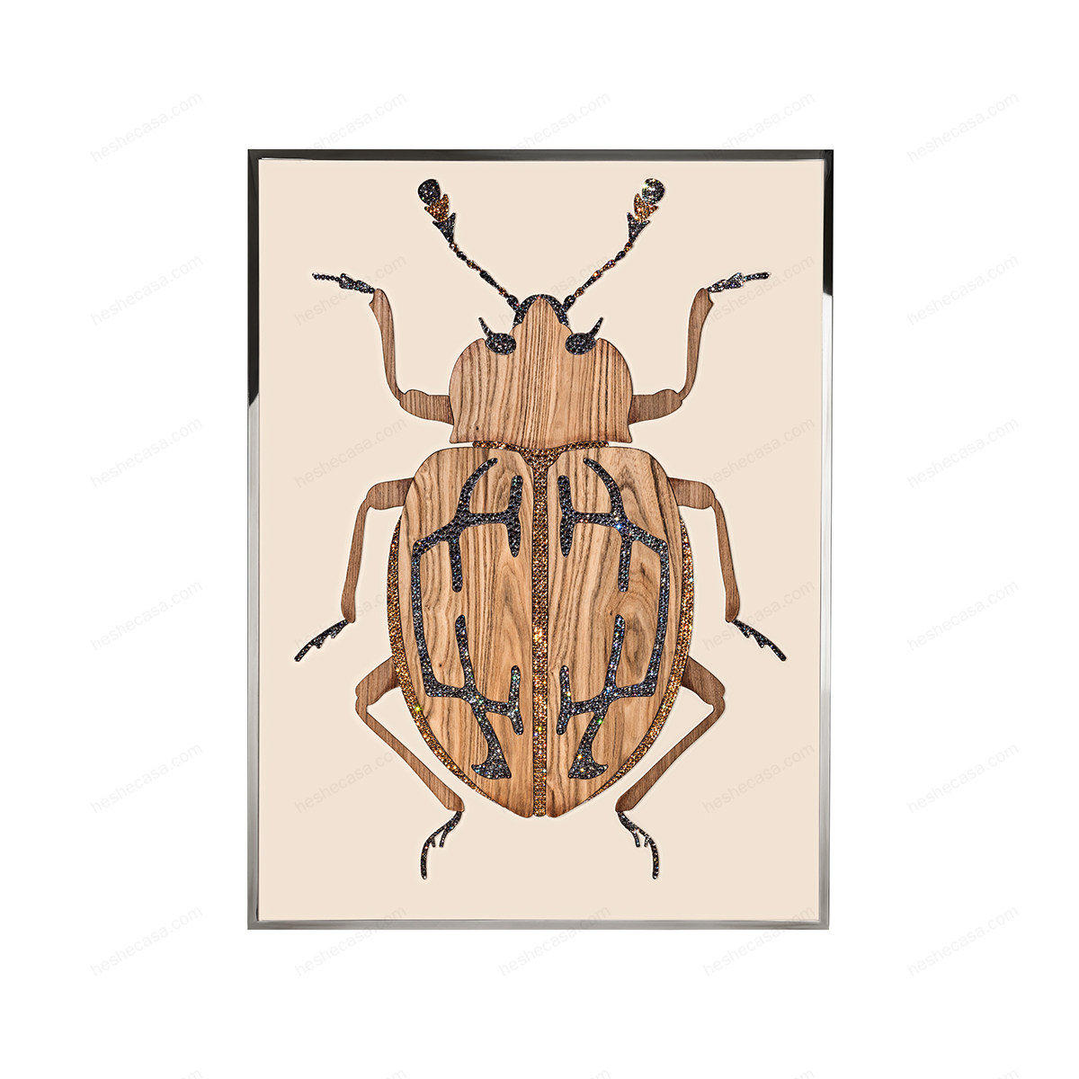 Beetle E装饰画