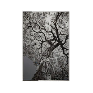 Arbor装饰画