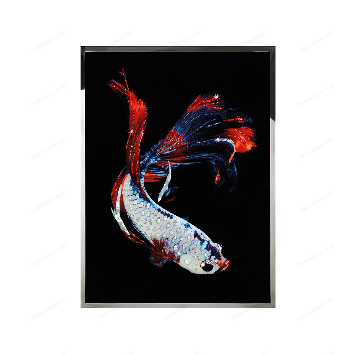 Betta Splendes装饰画