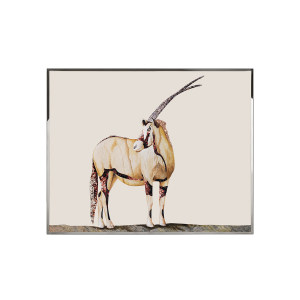 Antilope装饰画