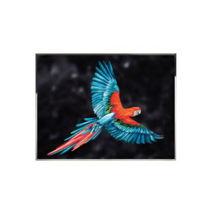 Parrot装饰画